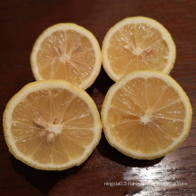 FRESH LIME/FRESH ORGANIC YELLOW LEMON WITH BEST PRICE